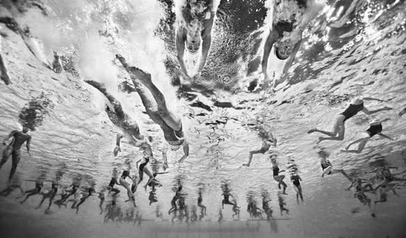 Diver photographed from below